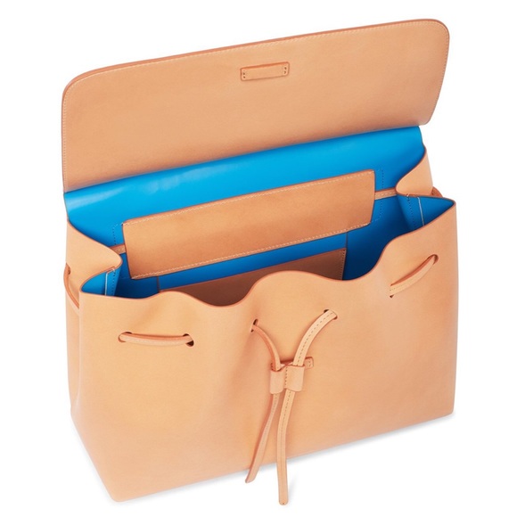 Mansur Gavriel Handbags - 🎁SOLD🎁BEST COLOR Mansur Gavriel LadyBag!!!